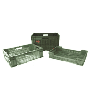 Grüne Kunststoffkisten für Obst & Gemüse – Gebraucht