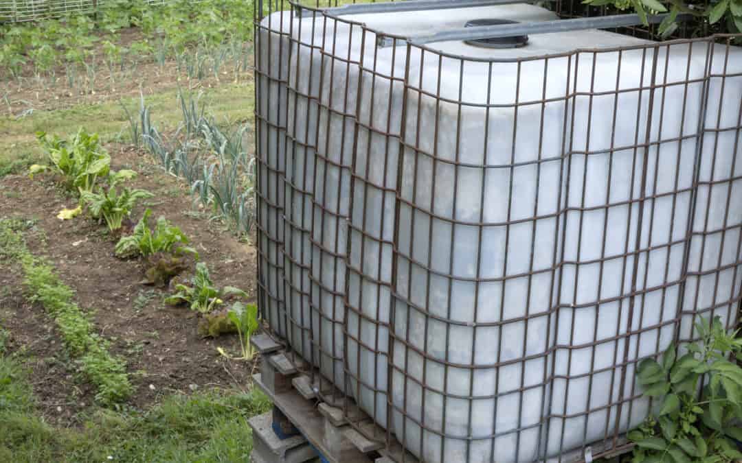 IBC tanks in Switzerland – Water storage, transport and recovery