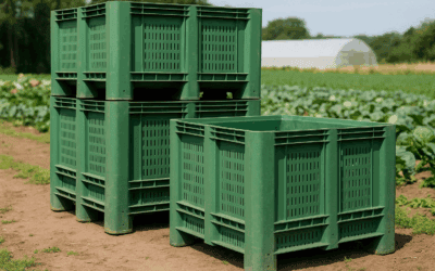 Used green plastic pallet box – the ideal pallet box for agricultural storage