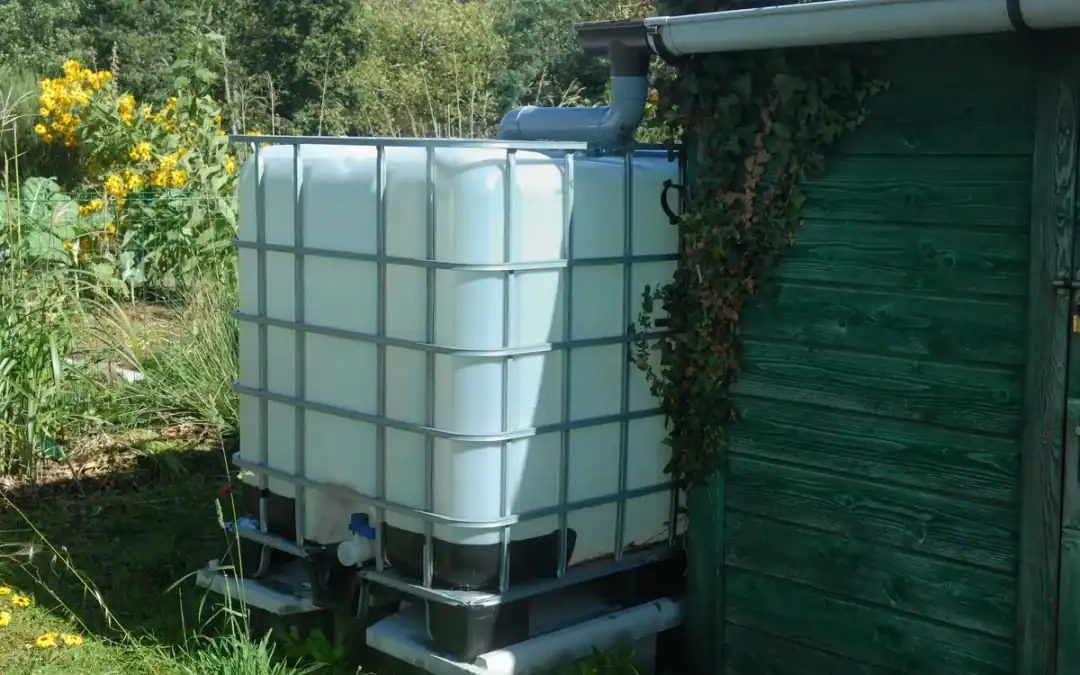 Reusing rainwater: how to save water and protect the environment